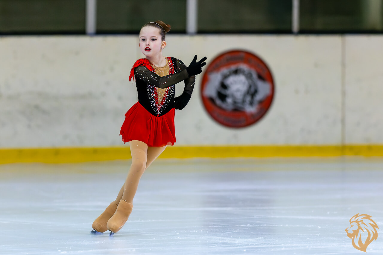 Кубок кришталевого лева 10